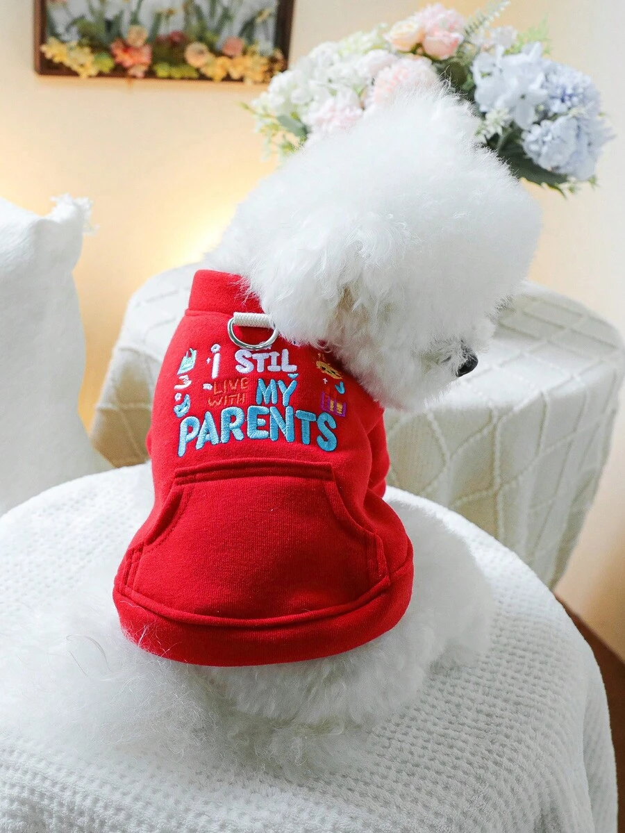 1pc Pet Clothes, Cute Dog/Cat Outfit For Small Dogs, Warm & Comfortable Hooded Sweatshirt For Autumn/Winter - Red - View 1
