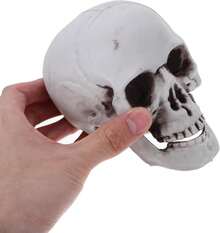 EstiloCiieeo 2 Uds RéPlica De CráNeo Humano De SimulacióN Falsa Estatua De CráNeo Humano Cabeza De Esqueleto De PláStico Para DecoracióN De HalloweenVersióN Mejorada - 1 - Ver 4