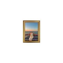 1pc Vintage Luxurious Gold Photo Frame, Displays 3.5x5", 4x6", 5x7", 6x8", 8x10" Photos, Horizontal & Vertical Placement, Suitable For Nordic Bedroom, Modern Living Room, Hallway, Gallery Wall (Photo Paper Included Randomly)