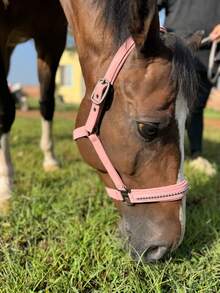 TGW RIDING New Series Faux Pearl Mane Tamer, Durable Soft Shell Surface Webbing, Tear-Resistant Inner Webbing, Soft Padding On Nose And Crown, Adjustable Side Buckles For Best Fit, Extra Chin Strap Adjustment, High-Quality Gunmetal Hardware, Faux Pearl Inlay On Nose Strap, Can Be Used With Matching TGW RIDING Faux Pearl Ear Bonnets And Saddle Pads.