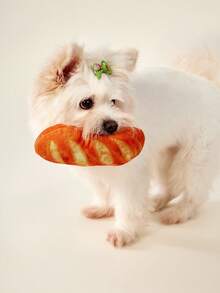 PETSIN Cute Bread-Shaped Squeaky Dog Chew Toy - Soft Bite-Resistant Pet Teething Toy For Puppies & Small Dogs - Fun Interactive Play Treat - Multicolor - View 7
