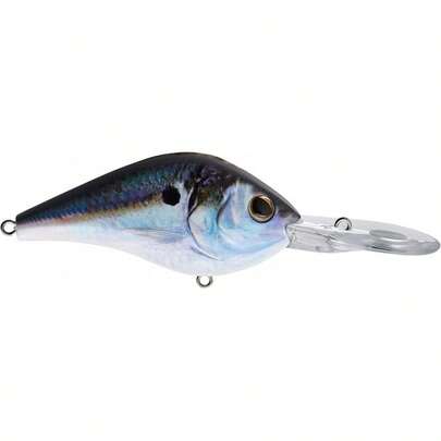 berkley ®   Draga