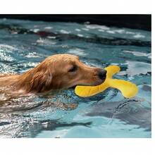 TENSLON RING 1 szt. Wytrzymały interaktywny dysk latający EVA dla zwierząt – pływający, trójlistny design, odporna na zużycie zabawka do tresury psów dla małych i średnich psów, do zabawy na świeżym powietrzu/na plaży, wszystkie rasy, zabawka dla psa, do zabawy na plaży, zabawny design, solidna konstrukcja - Wielokolorowe - Zobacz 8