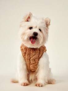 PETSIN 宠物服装。厚实温暖的毛绒背心，适合小型犬和猫在冬季穿着。可以在户外快乐玩耍的狗狗服装。 - 卡其色 - 查看 6