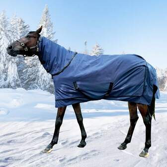 1200D Horse Turnout Blanket With Detachable Neck Cover, Medium Weight Waterproof Blanket,Winter Horse Blanket For Real Horses