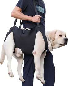 EstiloTendenciaArnéS PortáTil Elevador Para Perros, Chaleco Elevador De Eslinga De Apoyo Y RehabilitacióN Para Mascotas Con Lesiones En Las Articulaciones, Artritis (M)Calidad PremiumVersióN Mejorada