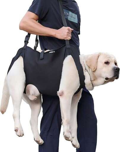 EstiloTendenciaArnéS PortáTil Elevador Para Perros, Chaleco Elevador De Eslinga De Apoyo Y RehabilitacióN Para Mascotas Con Lesiones En Las Articulaciones, Artritis (M)Calidad PremiumVersióN Mejorada