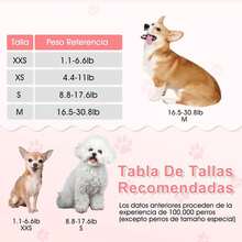 Standard Leashes - XS - View 5