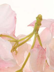 20/40pcs Artificial Flower Material Package Fake Flower Silk Flower Diy Handmade Headdress Garland Material Wedding Flower Pain Bag Valley Beauty Decoration - Pink Series - View 11