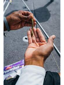 Fishing Soft Bait - Pearl White - View 10