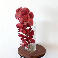 M.S MO SHI HOME FURNISHINGS 1 Stück 38 Zoll künstlicher Phalaenopsis Orchideen Zweig, Latex Phalaenopsis Orchideen Zweig mit natürlicher Berührung, Fake Cymbidium Blume, geeignet für Heimdekoration, Schreibtischdekoration, Mittelpunktdekoration, Hochzeitsdekoration, Valentinstag, Geburtstagsgeschenk, Abschlussfeier, DIY Vase Blumenarrangement, Garten, Schlafzimmer, Wohnzimmer, Raumdekoration, Feiertagsparty, Künstliche Pflanze