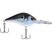 berkley ®   Draga - Sábalo de aleta HD - Ver 3