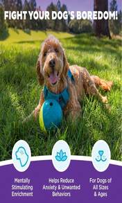 Outward Hound By Nina Ottosson Treat Tumble Interactive Puzzle Ball Dog Toy, Level 1 Beginner, Blue, Small (475" Diameter) - MàuH - Xem 3