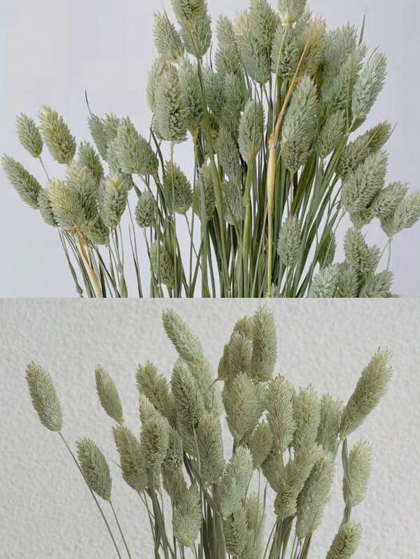 25/50/100 Stücke Edelstein Gras getrocknete Blumen, verschiedene Farben, für Heim-Dekoration, Vasen-Dekoration, DIY Sträuße, Kuchen-Dekoration, Hochzeitsdekoration