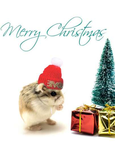 قبعة مافوفة مزينة بشكل صليب لحيوانات الأليفة، قبعة ديكور للهامستر/الدب الذهبي، مستلزمات حيوانات أليفة