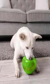 Outward Hound By Nina Ottosson Treat Tumble Interactive Puzzle Ball Dog Toy, Level 1 Beginner, Blue, Small (475" Diameter) - ColorC - 查看 8