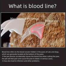 1pc LED Lighted Pet Nail Clipper, Ergonomic Non-Slip Handle With Safety Guard - Precision Blades, Battery Powered For Cat Dog Grooming, Essential Pet Care Product, Pet Grooming | Precise Trimming | Humanized Handle, Dog Nail Clipper, Battery Operated Pet Nail Trimmer, Suitable For Cats & Dogs - Professional Grooming Tool, Built-In Lighting, Precise Trimming, Easy To Find Quick