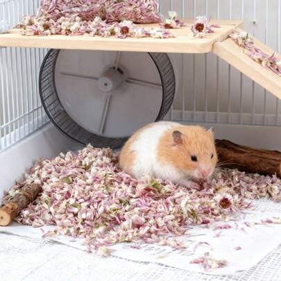 10g/0,35oz de flores secas mistas para cama de hamsters anões e gerbilos | Fibra vegetal com certificação de laboratório, livre de poeira e absorção 5X | Para coelhos e chinchilas