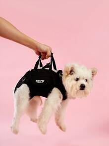 PETSIN Süßer atmungsaktiver Hunde-Rucksack, tragbarer Zugriemen-Rucksack mit verstellbaren Trägern für Katzen und Hunde, Umhänge- oder Schultertragen, stilvolle Hundeausrüstung als Haustierzubehör