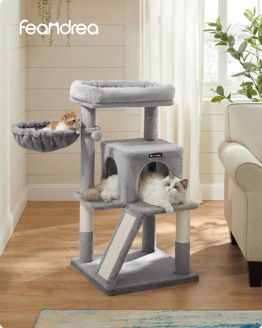 Cat Trees & Condos