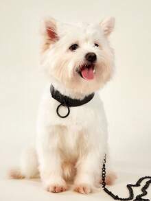 PETSIN 1套裝可調節個性化誇張寵物項圈和牽引繩套裝適用於戶外 - 黑色 - 查看 5