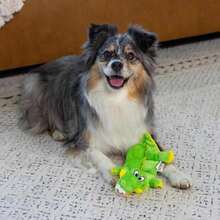 Outward Hound Squeaker Matz Plush Gator Dog Toy, XL - ColorA - View 6
