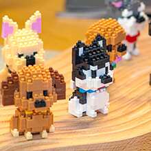 Pet Dog Cute Border Collie Corgi Teddy Toy Building Blocks Gift Ornaments Room Decoration,Border Collie,Corgi,Building Blocks,Mini Schnauzer,Cavalier Dog - SCB8841 - View 4