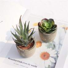 5pcs Artificial Decorative Succulent Plants, Fake Cactus & Succulents With Pots, Home Decor