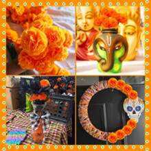 100 semillas flor de caléndula decoración día Halloween jardín ornamento exterior colores brillantes fácil germinación resistente únicos - Naranja - Ver 2