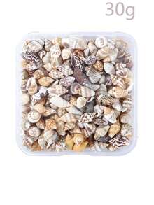 Conch Shells Kit, Natural Conch Shells Kit For Jewelry Making, DIY Fish Tanks Aquarium Pot Filler, Mini Small Sea Shells Conch