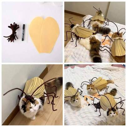 Cockroach Clothing Kit, Funny Costume Accessories Props, Pet Cape Set Two Sets