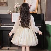 Girls' Elegant Long Sleeve Party Dress, Lovely Fluffy Long Sleeve Birthday Christening Dress - Rượu sâm banh - Xem 4