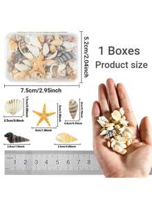 Conch Shells Kit, Natural Conch Shells Kit For Jewelry Making, DIY Fish Tanks Aquarium Pot Filler, Mini Small Sea Shells Conch