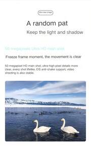 vivo Y300+ 持久流畅芯片，大电池 5G 新机，vivo 2025 年新款发布，Y300+ 全球语言 - 鈦色 - 查看 2