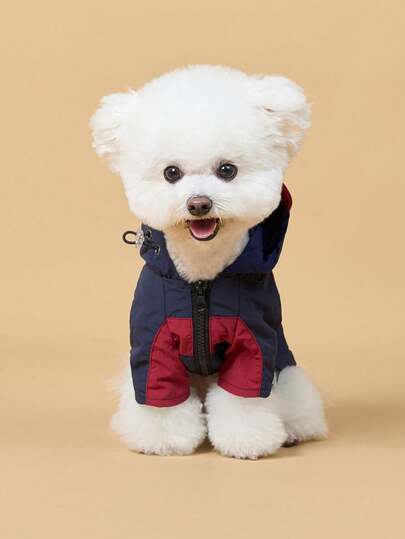 宠物外套和夹克