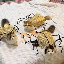 Cockroach Clothing Kit, Funny Costume Accessories Props, Pet Cape Set Two Sets - Dos juegos - Ver 3