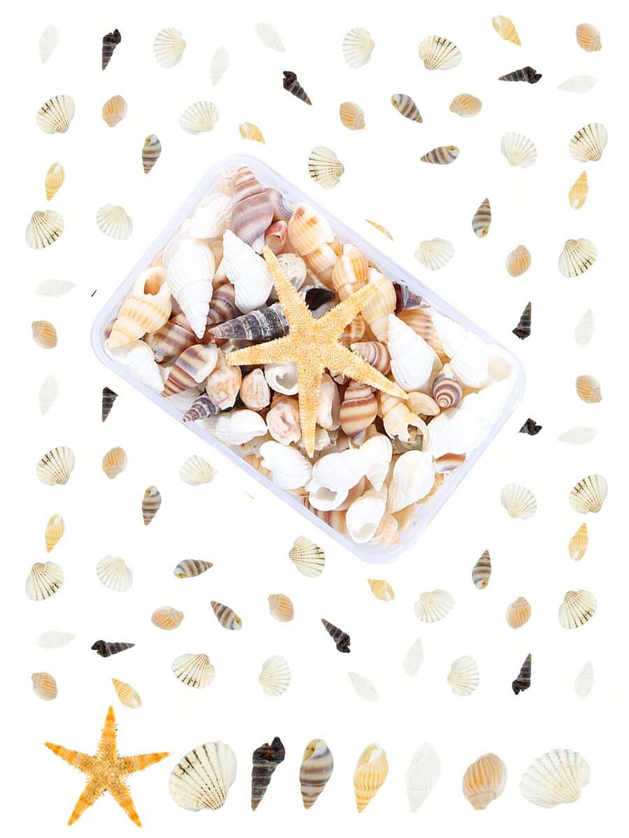 Conch Shells Kit, Natural Conch Shells Kit For Jewelry Making, DIY Fish Tanks Aquarium Pot Filler, Mini Small Sea Shells Conch