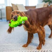 Outward Hound Tootiez Sheep Grunting Latex Rubber Dog Toy, Small - MàuC - Xem 5