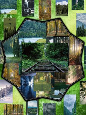 Winters 62pcs Graffiti Forest Themed Stickers Matte Surface For Luggage Laptop Water Bottle Guitar Fridge Mobile Phone Case Decoration Self Adhesive Stickers Asymmetrical Shape Easy To Peel Easy To Stick Perfect For Holiday Gift