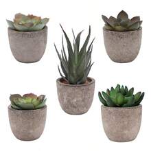 5pcs Artificial Decorative Succulent Plants, Fake Cactus & Succulents With Pots, Home Decor