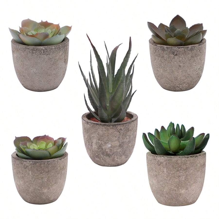 5pcs Artificial Decorative Succulent Plants, Fake Cactus & Succulents With Pots, Home Decor
