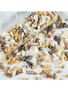 Conch Shells Kit, Natural Conch Shells Kit For Jewelry Making, DIY Fish Tanks Aquarium Pot Filler, Mini Small Sea Shells Conch