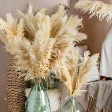 5/10/15/20pcs 21.6 Inch/55cm Tall Beige Pampas Grass Stems, Ideal For Adding Boho Vibe To Your Space - Pampas Grass Is Perfect For Floral Arrangements, Vases, Weddings, And Creating A Bohemian Atmosphere At Home. Christmas And Valentine's Day Wedding Decor - Brown - View 3