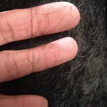 鸟网塑料尼龙网防鸟捕鸟网陷阱农作物保护池塘渔网果树花园网害虫防治工具 - 彩色 - 查看 7