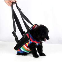 Dog Backpack - M - Viev 9