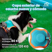 Arnés de Perros con Correa 1.Retráctil Pechera para Perro Ajustable Transpirable para Perro Mediano Pequeño,Arneses para Perro para Caminar Viajar Entrenar Perros Accesorios(XL) - M - Ver 2
