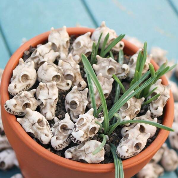 10 peças de estátuas decorativas de bonsai com cabeça de dragão, estátuas pequenas decorativas de jardim, estátuas decorativas de micropaisagem de conto de fadas para jardim ao ar livre, estátuas de pedra de pavilhão de jardim, estátuas decorativas de pavilhão de aquário, presentes de Halloween