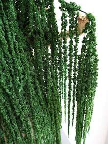 1/2/3/4/5 Sticks Hanging Amaranthus,Hanging Amaranthus Bunch,Hanging Wall Decor,Arch Flower Decor,Dry Flowers Arrangement,Wedding Decor - Dark Green - View 6