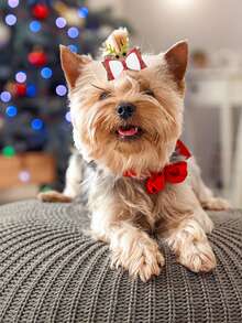 2 件圣诞迷你宠物发夹，圣诞限量版驯鹿蝴蝶结形宠物发夹，适合博美犬、泰迪犬、马尔济斯犬、布娃娃猫等小型长毛宠物 - 彩色 - 查看 4