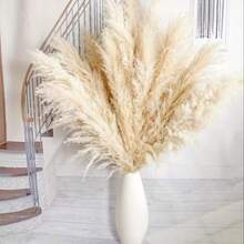 5/10/15/20pcs 21.6 Inch/55cm Tall Beige Pampas Grass Stems, Ideal For Adding Boho Vibe To Your Space - Pampas Grass Is Perfect For Floral Arrangements, Vases, Weddings, And Creating A Bohemian Atmosphere At Home. Christmas And Valentine's Day Wedding Decor - Brown - View 8